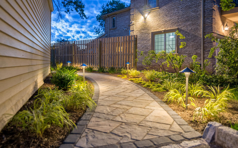Create Artistic Nightscapes with Garden Silhouetting